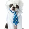 Disfraz De Einstein Para Perro
