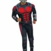 Disfraz De Ant-Man Deluxe Para Adulto -FUNIDELIA Ventas disfraz de ant man deluxe para adulto