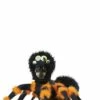 Disfraz De Araña Aterradora Para Perro -FUNIDELIA Ventas disfraz de arana aterradora para perro