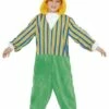 Disfraz De Blas Barrio Sésamo Onesie Infantil -FUNIDELIA Ventas disfraz de blas barrio sesamo onesie infantil