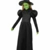 Disfraz De Bruja Mala Del Oeste Para Niña - El Mago De Oz -FUNIDELIA Ventas disfraz de bruja mala del oeste para nina el mago de oz