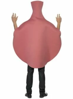 Disfraz De Cojín De Pedos -FUNIDELIA Ventas disfraz de cojin de pedos 1