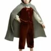 Disfraz De Frodo Para Niño - El Señor De Los Anillos 1 Disfraz De Frodo Para Niño - El Señor De Los Anillos -FUNIDELIA Ventas disfraz de frodo para nino el senor de los anillos
