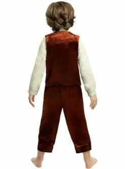 Disfraz De Frodo Para Niño - El Señor De Los Anillos -FUNIDELIA Ventas disfraz de frodo para nino el senor de los anillos 1 5