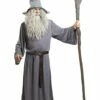 Disfraz De Gandalf - El Señor De Los Anillos -FUNIDELIA Ventas disfraz de gandalf el senor de los anillos