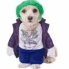 Disfraz De Joker Para Perro -FUNIDELIA Ventas disfraz de joker para perro
