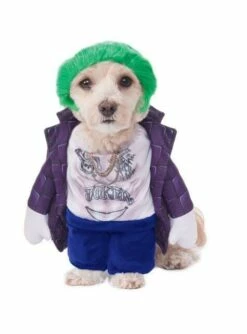 Disfraz De Joker Para Perro