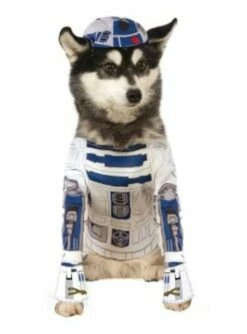 Disfraz De R2D2 Para Perro