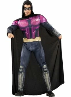 Disfraz De Robin - Arkham Knight -FUNIDELIA Ventas disfraz de robin arkham knight 2