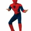 Disfraz De Spiderman Musculoso Premium Para Niño -FUNIDELIA Ventas disfraz de spiderman musculoso premium para nino