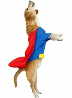 Disfraz De Superman Para Perro -FUNIDELIA Ventas disfraz de superman para perro 1 1