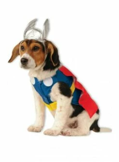 Disfraz De Thor Para Perro