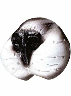 Nariz De Gato Mimoso Para Adulto